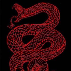 Meet your Posher, Sydney